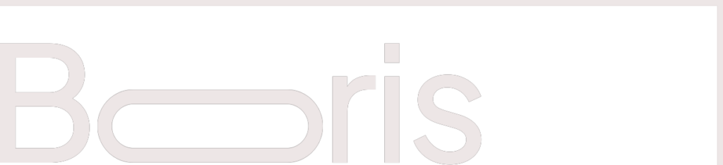 Boris web designer logo